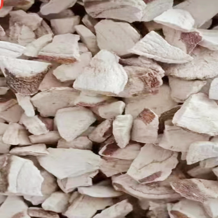 e2472043a9a8e5b0a405cf91faf9cb