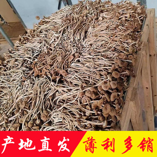 ��乽�a��ֱ�N���l3̖�������Ѻ��5̖������乽��؛�������خa