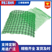 ���Sֲ���W�S�� NSS4���S�W�ӵ��o�¹���ֲ�ݼӽ����S�ӽ�W�|