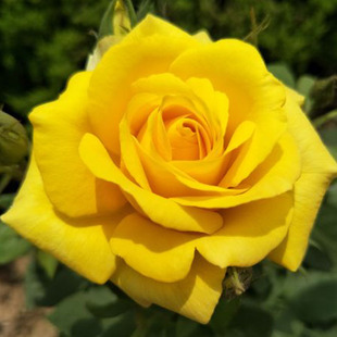 �S��ƽ�¼�������õ�����̨ͥԺ�����ļ��^���Gֲ�����¼�����