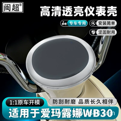 Emma Luna Wb30/Pro/2024Air Electric: Other vehicle instruments