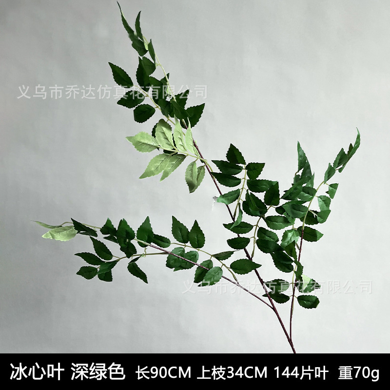 Hielo Corazón Hoja Verde