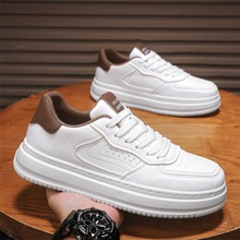 Ь2025¿＾ӢL͹eЬʿƤЬٴ׹\Ь