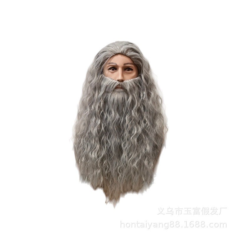 Halloween Gray Wizard Wig and Beard Set Lord of the Rings Hobbit Gandalf Wig with Beard