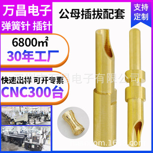 Beauty Instrument Crown Spring Straight Wire Welding Wire Terminal Male and Female Conductive Copper Pin Pin Terminal Block with 2.0 Male Pin
