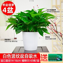 �G�}�����҃ȿ͏d��ˮ��ֲ��Gֲ�����k���ҾG�j