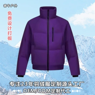 源头工厂大鹅羽绒服冬季男女新款高端立领短款鹅绒羽绒服定制工厂