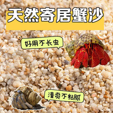 寄居蟹沙水螃蟹底沙石天然垫材原生贝壳沙免洗鱼缸造景沙子