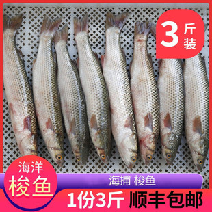 ʮ��� ���K�B노�3�����r���~֧�~���󺣲��~���rˮ�a���r�~����