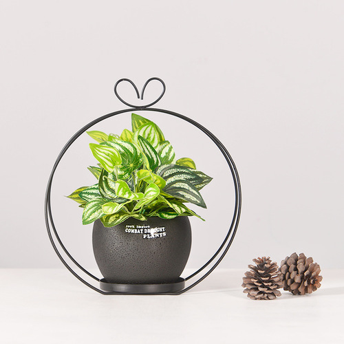 Nordic ins style cement flowerpot desktop creative iron mini flowerpot combination set foam packed small flowerpot