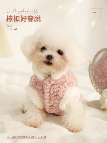 Dog clothes, anti-shedding in winter, spring and autumn, bichon frize, small dog, autumn and winter, puppy cute vest, pet teddy, autumn
