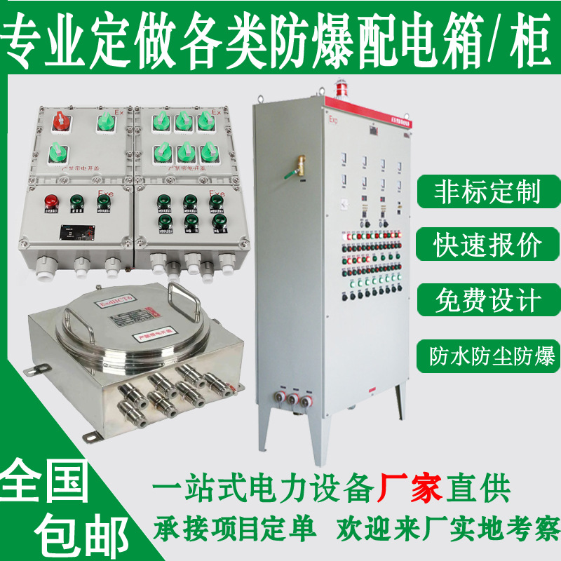 定制防爆配电箱接线控制动力照明仪表开关不锈钢检修插座箱正压柜