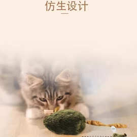 ✅猫咪玩具老鼠发声玩具逗猫自嗨解闷猫咪消耗体力耐咬耐磨牙