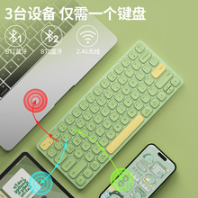 BOW����HD286CL�pģ�{���o���I�P���o���k������Ů���ɐ��p���I�P