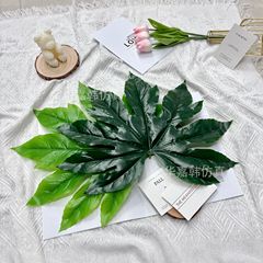 仿真八角金盘叶水果店装饰八角叶户外绿植墙配材过胶八角叶叶片