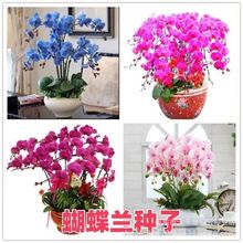 �����m�N���׷N�� ������ �����_���̨�����҃Ȼ��N���ļ����N��