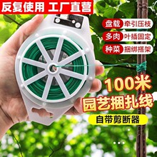 园艺包塑扎线带剪扎带包塑铁丝月季爬藤植物固定绳捆扎带绑花支架