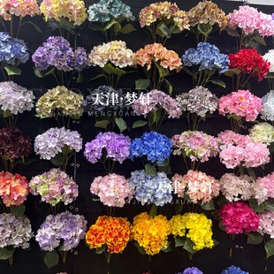 ��c����5�^�����ͮ��L���� ��Y�ò��ý���·����ױ�������