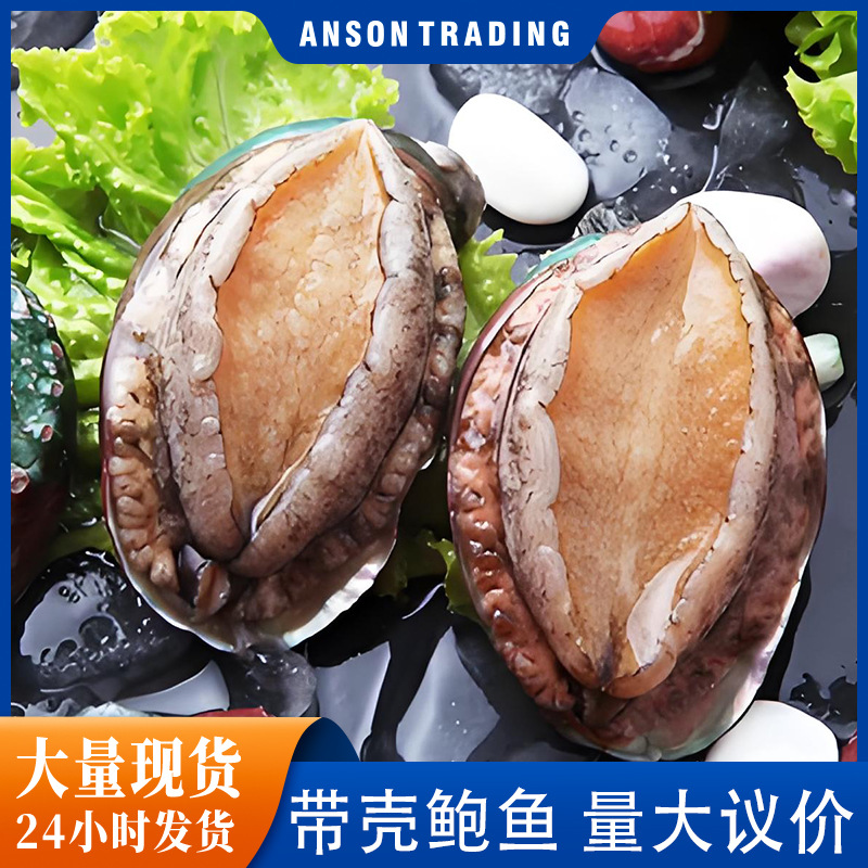 带壳鲍鱼干冻干鲍鱼干货批发鲍鱼干海参鲍鱼散装干货鲍鱼批发零售