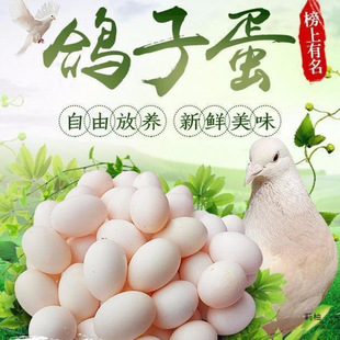 ���x���ӵ����r�������r������s�Zɢ�B�ЋD�����I�B�ͶY��Ʒ���]