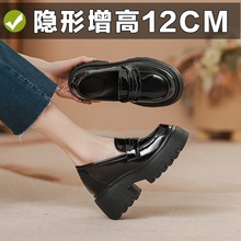 ������СƤЬŮ2026���¿��＾�ɸ��״ָ�����ЬŮ��Ь�WԺ�LЬ