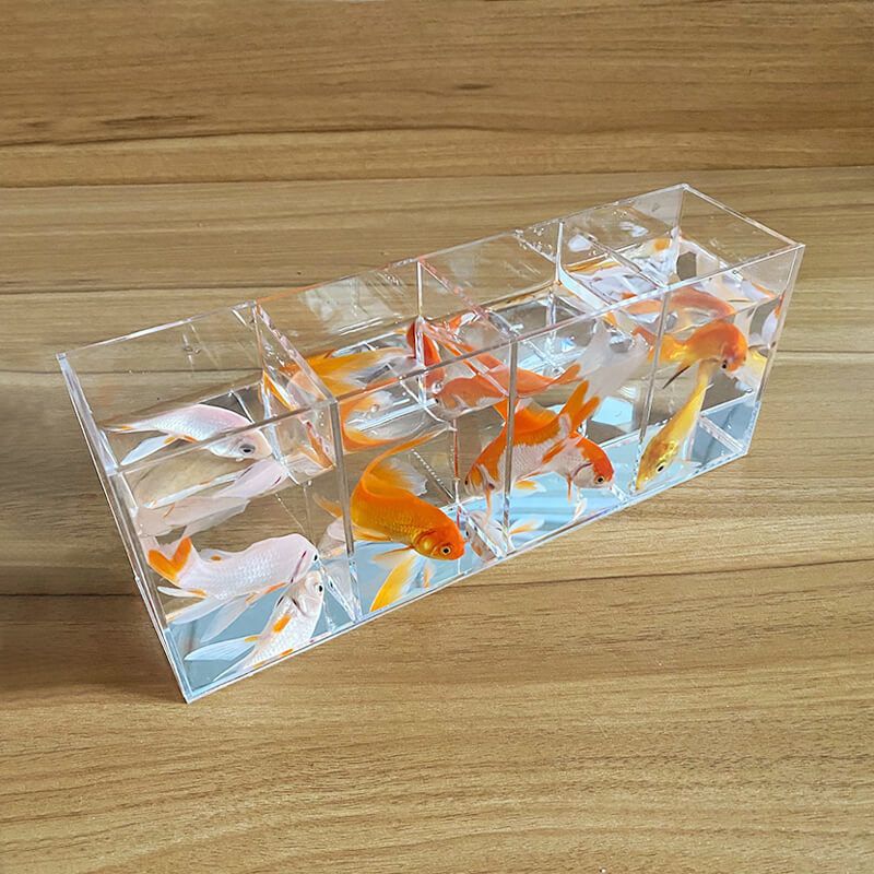 Isolation box small white betta display rack multi-grid desktop creative small fish tank ecological tank acrylic plate turtle