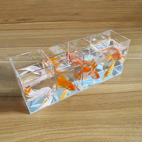 Isolation box small white betta display rack multi-grid desktop creative small fish tank ecological tank acrylic plate turtle