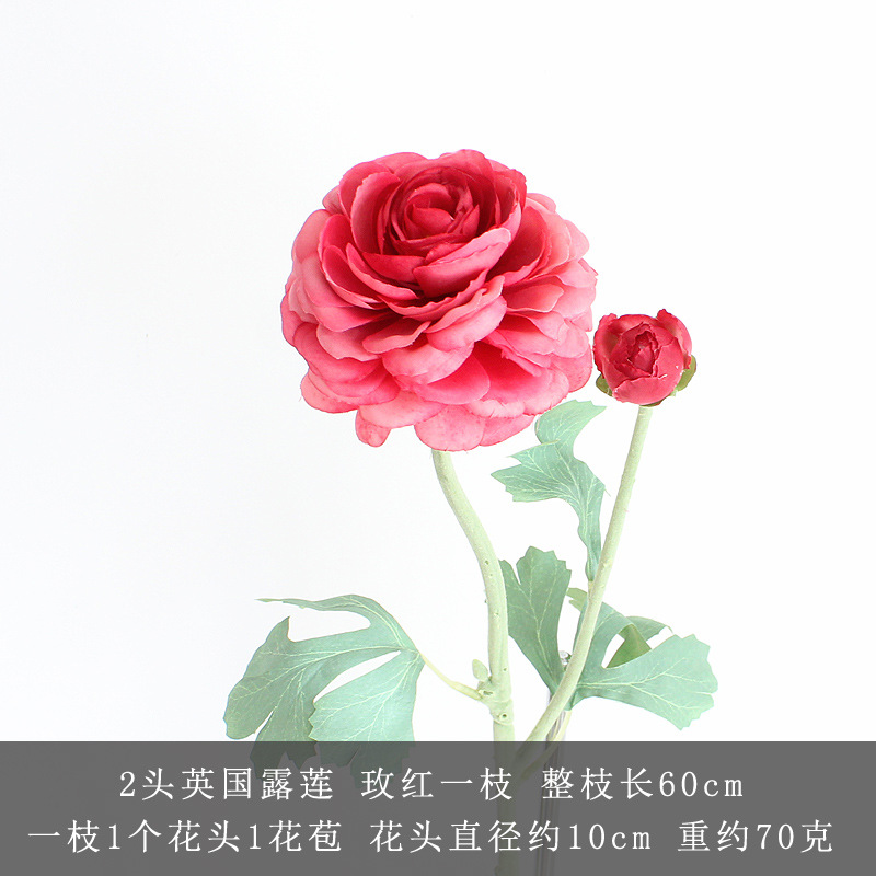 로즈 레드