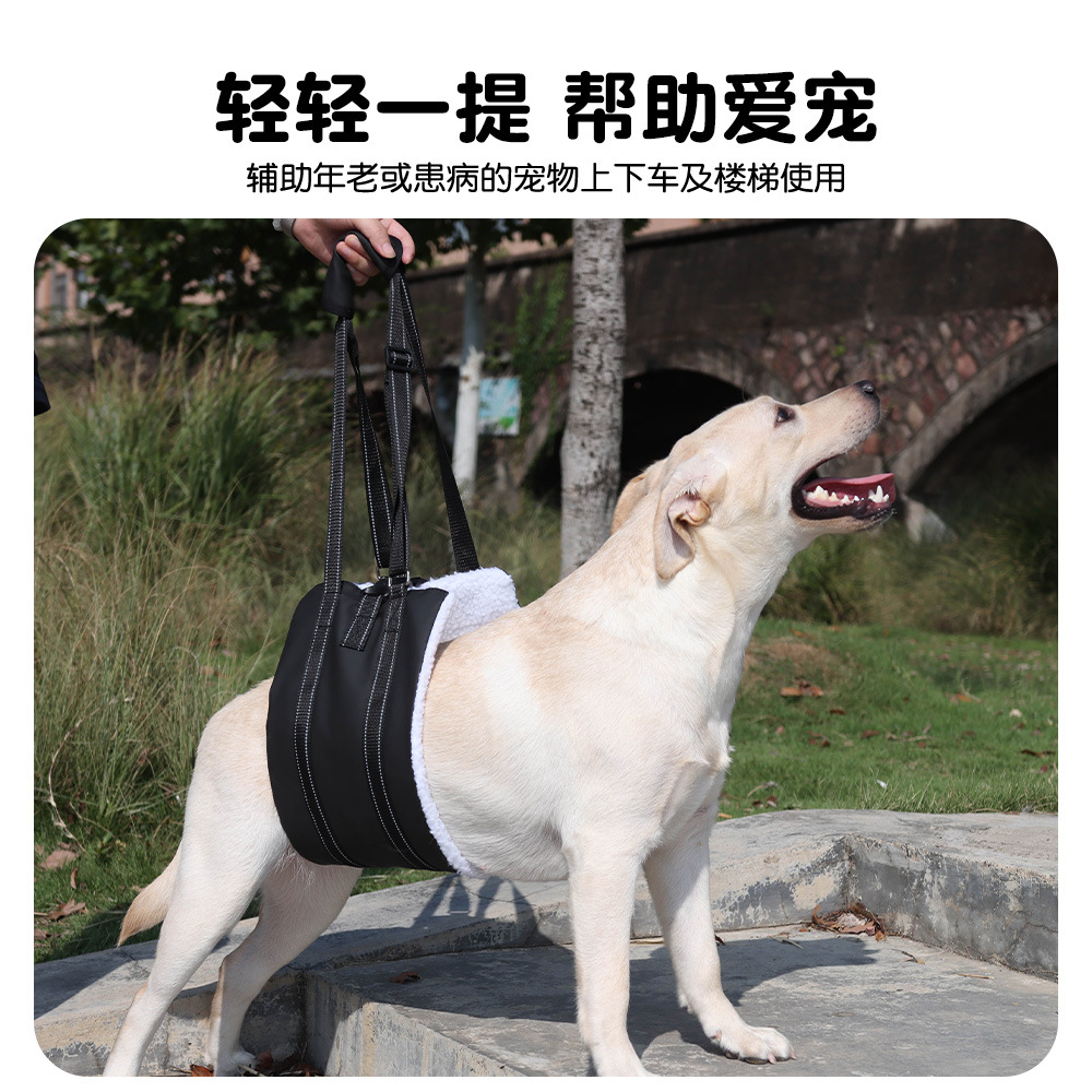 Correa para el pecho asistida para mascotas explosiva transfronteriza, correa para el pecho reflectante para perros, correa para el pecho de elevación para viajes asistida al por mayor