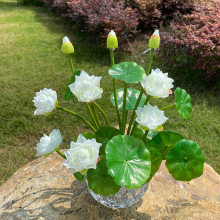 ����С�ɻ� ���~�������� �����b�ǰɏ��������滨С���Լٻ�