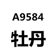 新款5d钻石画满钻石绣牡丹玄关竖版点贴钻十字绣九鱼图客厅砖石画