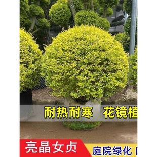 ����Ůؑ�����β��~Ůؑ������ľͥԺ�̨�����ļ������͟��ͺ�