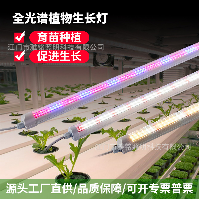 led植物补光灯t8一体灯管天使环仿太阳花朵上色全光谱植物灯
