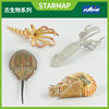 children simulation Ocean animal Model Ancient Biology Nautilus squid suit Decoration Toys Manufactor wholesale