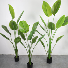 ����ѩ�������Gֲ�������������B�콶�Ž���zӰ���߼ҾӔ[��