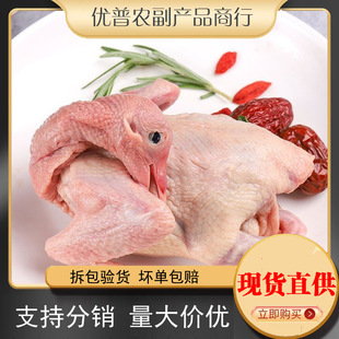 �������r�F���r�������ӟ��Ҝ��r��ɢ�B�����������r�����������