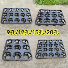 �����m�бP�м�9�׼Ӻ��м�20��15��12��Ѩ�P�����pɫ���мܻ���