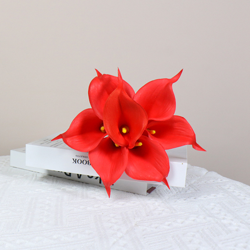 칼라 릴리-레드(노란색 코어)