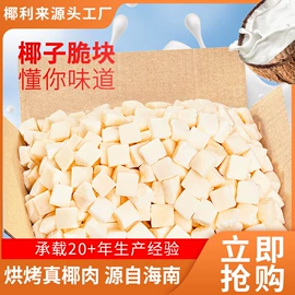 椰类果干;椰果椰浆