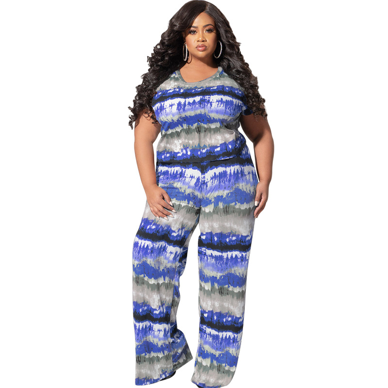 Daily Casual Stripe Polyester Pants Sets Plus Size Two-piece Sets display picture 19