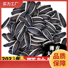 ll生瓜子葵花籽新货特大颗粒2024年内蒙古新鲜生熟葵花籽年货5斤