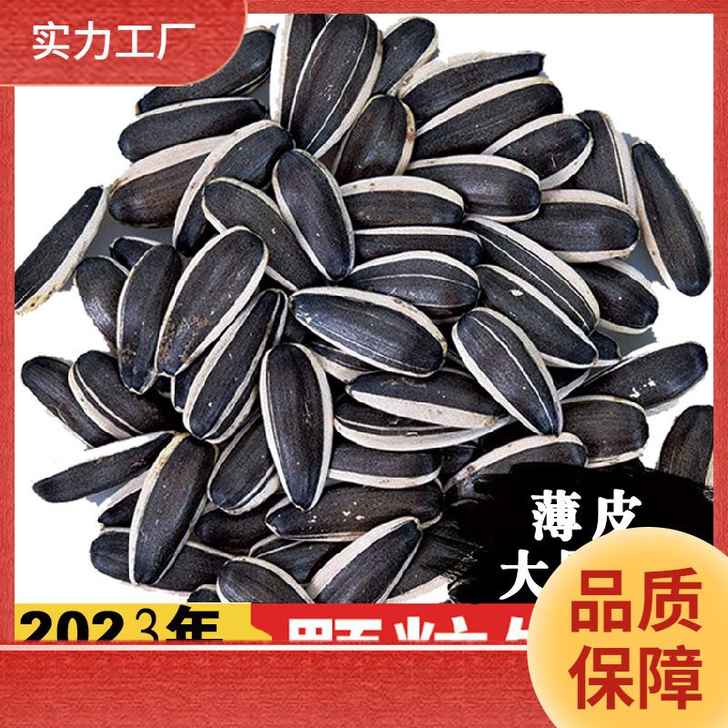 ll生瓜子葵花籽新货特大颗粒2024年内蒙古新鲜生熟葵花籽年货5斤