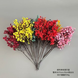 ��֧��������M���ǼҾ��k���Ҳ͏d�b�ɫС��֦����M���ǿ羳