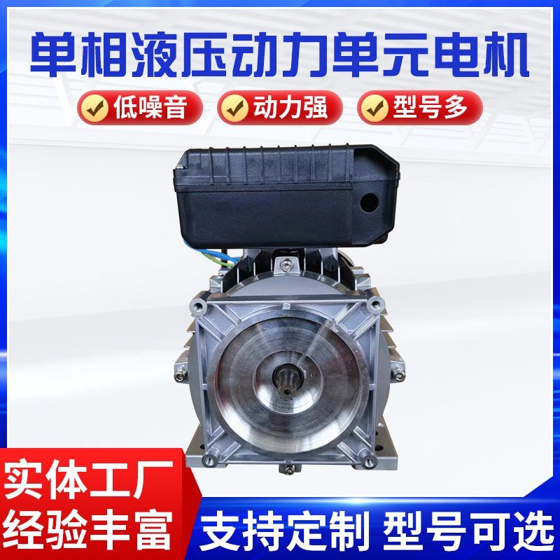 单相液压动力单元电机220V(全铜).jpg