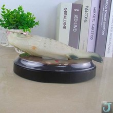 ��������~���携�����늄ӷ����~�����������͌����~��ͯ���