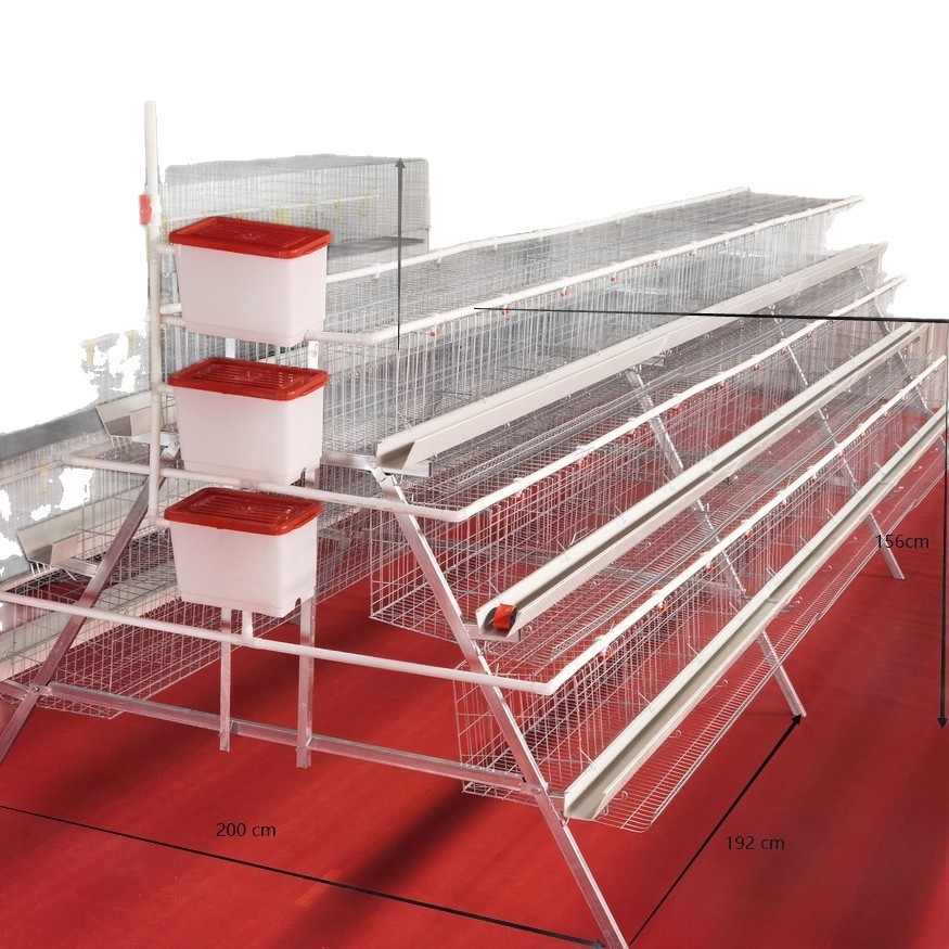 Jaula multicapa de cría automática completa de gallinas ponedoras de huevo rodante tipo escalón automático de doble lado de jaula doméstica de gallinas
