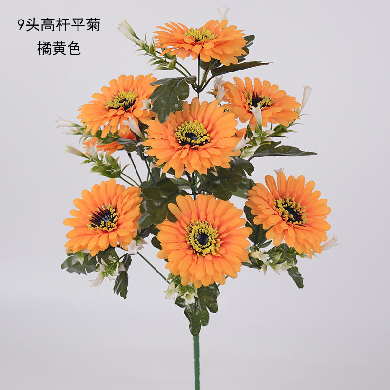 9头高杆平菊06 副本.jpg