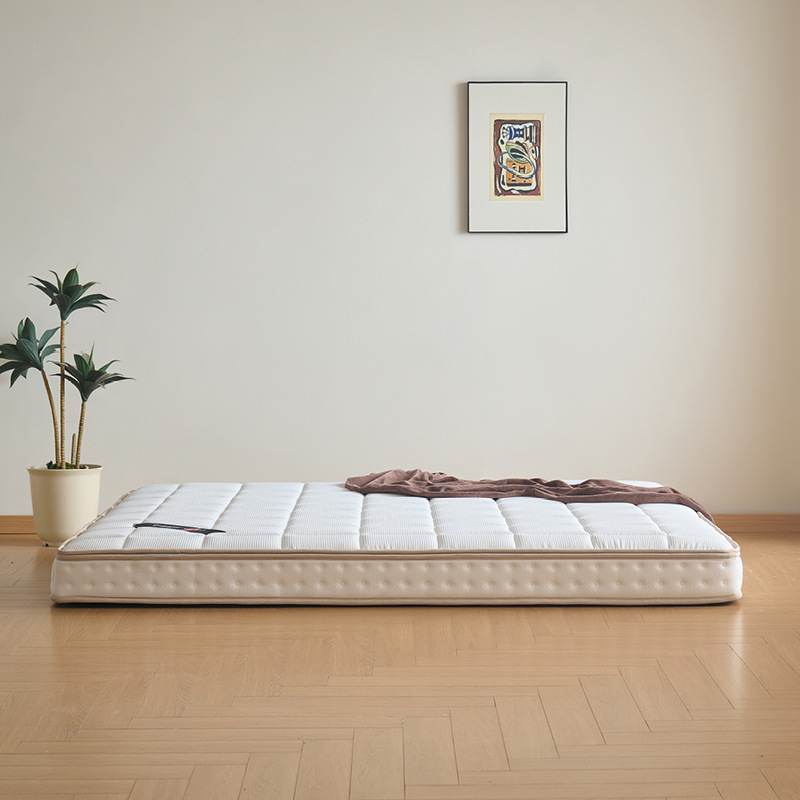 Waffle Fully Removable High Resilience Sponge Mattress 25cm Thickeneded Bagged Spring Soft and Hard Freely Adjustable Home Mattress