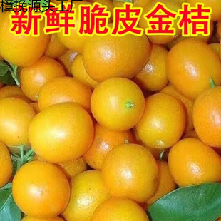 �V�����ִ�Ƥ������rˮ���a��ժ�lС������5����