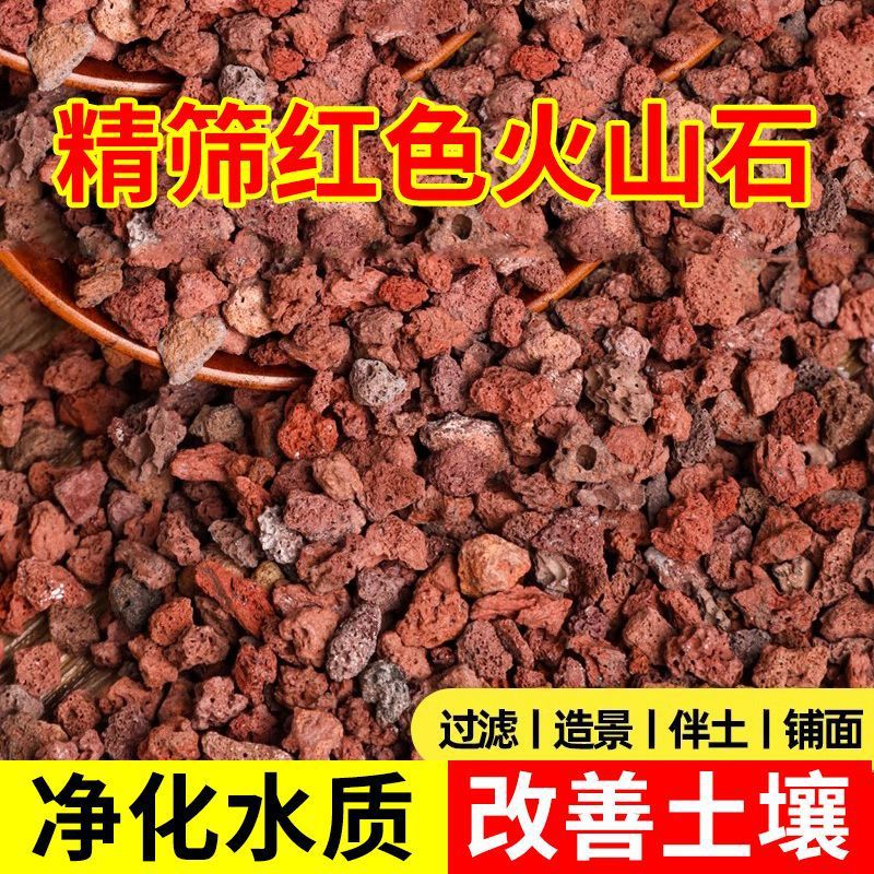 700390f0-3e70-46d1-8b87-97ade5553306.jpe